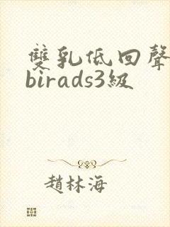 双乳低回声结节birads3级