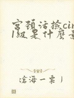 宫颈活检cin1级是什么意思