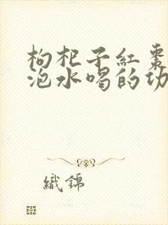 枸杞子红枣党参泡水喝的功效