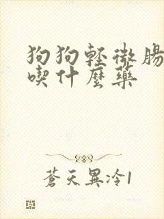 狗狗轻微肠胃炎吃什么药