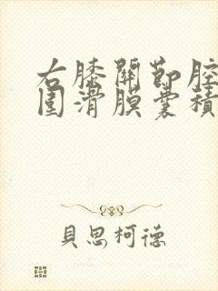 右膝关节腔及周围滑膜囊积液封面