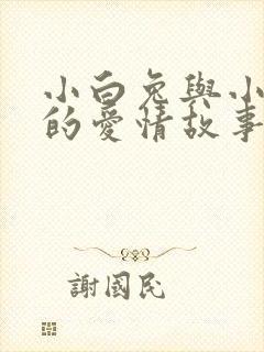 小白兔与小灰兔的爱情故事