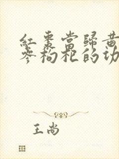 红枣当归黄芪党参枸杞的功效封面