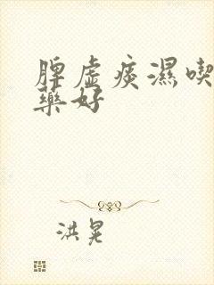 脾虚痰湿吃什么药好
