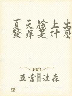夏天脸上出汗就发痒是什么原因封面