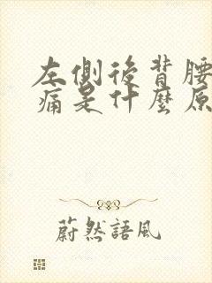 左侧后背腰部疼痛是什么原因女性封面
