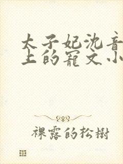 太子妃沈音和皇上的宠文小说