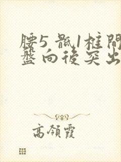 腰5 骶1椎间盘向后突出封面