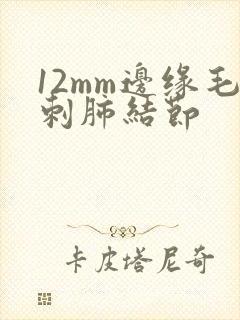 12mm边缘毛刺肺结节