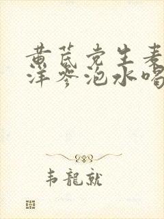 黄芪党生麦冬西洋参泡水喝的功效