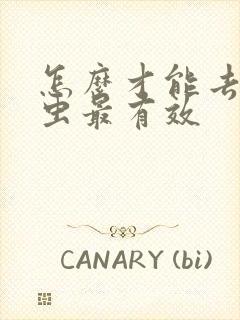 怎么才能去除螨虫最有效