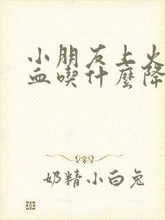 小朋友上火流鼻血吃什么降火封面