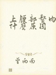 上腹部赘肉多是什么原因封面