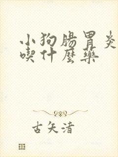 小狗肠胃炎拉血吃什么药