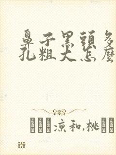 鼻子黑头多且毛孔粗大怎么解决