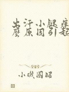 出汗小腿痒是什么原因引起的封面