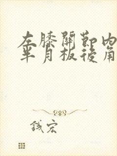 左膝关节内外侧半月板后角损伤封面