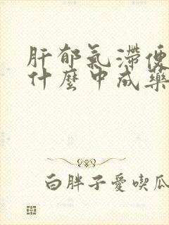 肝郁气滞便秘吃什么中成药