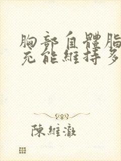 胸部自体脂肪填充能维持多久