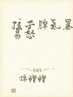 孩子脾气暴躁,易怒封面