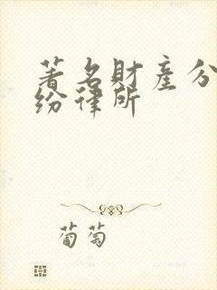 著名财产分割纠纷律所