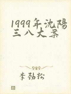 1999年沈阳三八大案