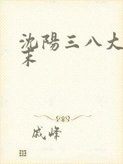 沈阳三八大案始末