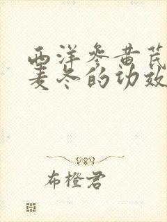 西洋参黄芪党参麦冬的功效与作用