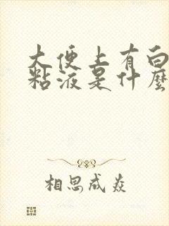 大便上有白色的粘液是什么原因