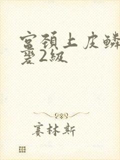 宫颈上皮鳞状病变2级