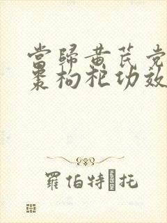 当归黄芪党参红枣枸杞功效与作用