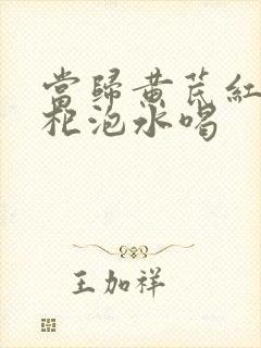 当归黄芪红枣枸杞泡水喝封面