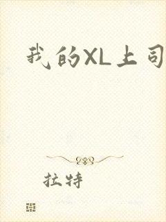 我的XL上司封面