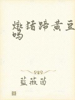 炖猪蹄黄豆要泡吗