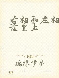 右相和左相一起淦皇上