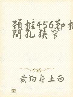 颈椎456节椎间孔狭窄封面