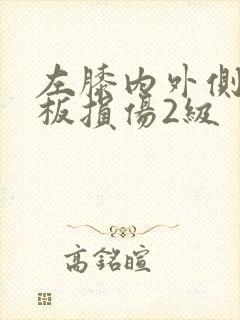 左膝内外侧半月板损伤2级