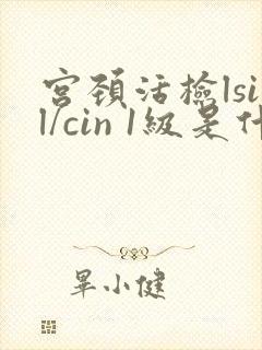 宫颈活检lsil/cin 1级是什么意思?