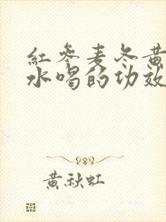 红参麦冬黄芪泡水喝的功效