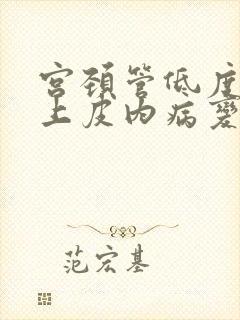 宫颈管低度鳞状上皮内病变