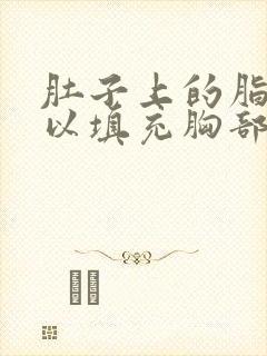 肚子上的脂肪可以填充胸部吗