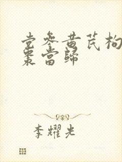 党参黄芪枸杞红枣当归
