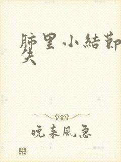 肺里小结节会消失