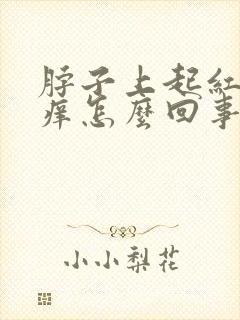 脖子上起红疙瘩痒怎么回事