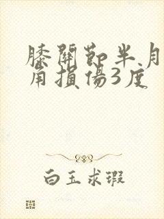 膝关节半月板后角损伤3度