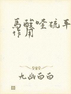 马酸喹硫平片的作用封面