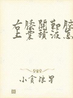 右膝关节腔及髌上囊积液怎么办