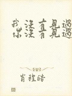我没有见过你,你没有见过我是什么歌