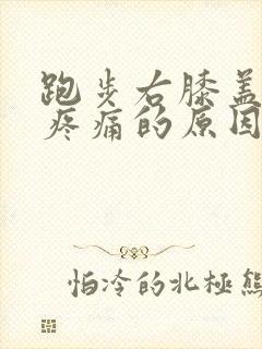 跑步右膝盖内侧疼痛的原因
