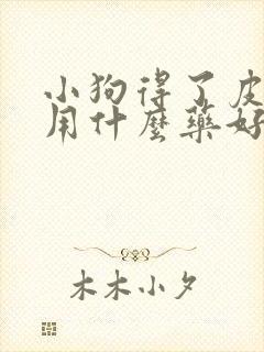 小狗得了皮肤病用什么药好
